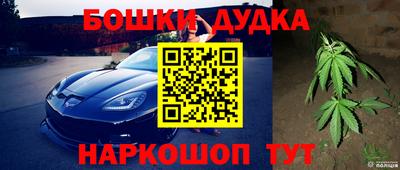 твердый Новодвинск