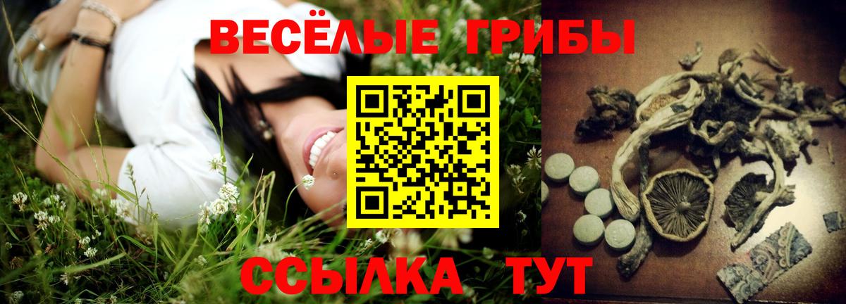 Галлюциногенные грибы прущие грибы Геленджик